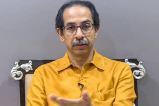 cm uddhav thackeray