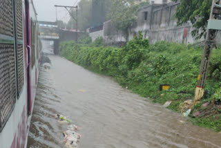 नाले सफाईवरचा खर्च वाहून गेला, आरटीआय कार्यकर्ते अनिल गलगली यांचा आरोप