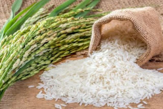 Dispute on basmati rice trademark between india and pakistan