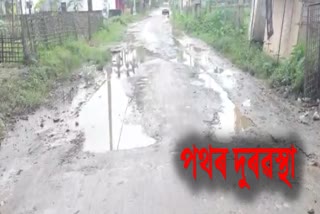 পথৰ দূৰৱস্থাই দুৰ্ভোগ ভুগাইছে টীয়কবাসীক