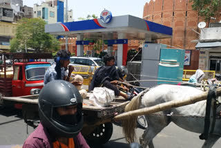 Jaipur: People are violating government guidelines