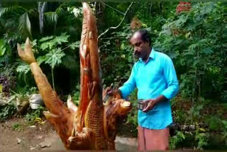 carving 14 sculptures on the roots of single tree  ഒറ്റമരത്തിന്‍റെ വേരിൽ 14 ഓളം ചിത്രങ്ങൾ കൊത്തിയെടുത്ത് സതീശൻ  sculptures  ലോക്ക്ഡൗൺ  പട്ടുവം  പട്ടുവം സർവ്വീസ് സഹകരണ ബാങ്ക്