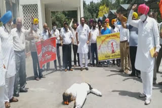 Protest:ਸਰਕਾਰੀ ਮੁਲਾਜ਼ਮਾਂ ਨੇ ਖਜ਼ਾਨਾ ਮੰਤਰੀ ਦਾ ਫੂਕਿਆ ਪੁਤਲਾ