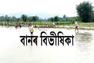Water level of Dihiri river increases, feared people At Narayanpur