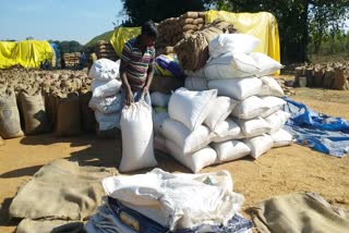 paddy blocked in bastar