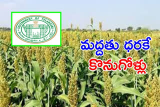 Govt decided to buy jowar crops