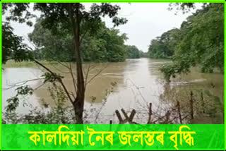 কালদীয়া নৈৰ গৰাখহনীয়াই নিদ্ৰা হৰিছে গঞাৰ