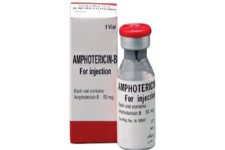 Black fungus: Centre allocates 3  100 vials of Liposomal Amphotericin-B to states from June 1  black fungus  centre allocates amphotericin  Mansukh Mandaviya  ബ്ലാക്ക് ഫംഗസ്  ആംഫോട്ടെറിസിൻ-ബി  liposomal