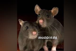 ಮಹಿಳೆ ಹೃದಯಾಘಾತದಿಂದ ಸಾವು