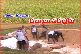 paddy-farmers-struggle-for-selling-crops