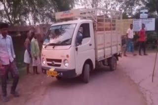 Cattle smugglers caught in Nawagarh