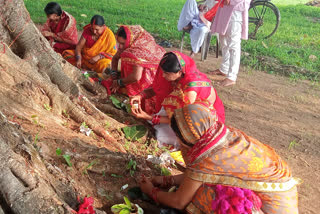 Vat Savitri Puja