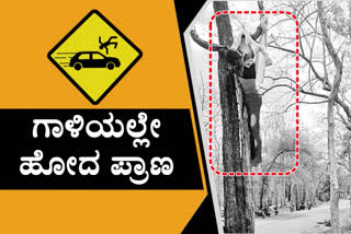 Young man died, Young man died in car and bike accident, Young man died in car and bike accident at Nirmal District, Nirmal crime news, ಗಾಳಿಯಲ್ಲೇ ಪ್ರಾಣ ಬಿಟ್ಟ ಯುವಕ, ಕಾರು ಮತ್ತು ಬೈಕ್​ ರಸ್ತೆ ಅಪಘಾತದಲ್ಲಿ ಗಾಳಿಯಲ್ಲೇ ಪ್ರಾಣ ಬಿಟ್ಟ ಯುವಕ, ನಿರ್ಮಲ ಜಿಲ್ಲೆಯ ರಸ್ತೆ ಅಪಘಾತದಲ್ಲಿ ಗಾಳಿಯಲ್ಲೇ ಪ್ರಾಣ ಬಿಟ್ಟ ಯುವಕ, ನಿರ್ಮಲ ಜಿಲ್ಲೆ ಅಪರಾಧ ಸುದ್ದಿ,