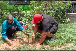 Team Arjun volunteers aim to plant 1000 saplings in Mehrauli Delhi