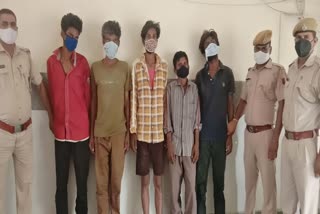 kota latest news  rajasthan latest news  crime in kota  loot in kota  पेट्रोल पंप लूट  5 बदमाश गिरफ्तार  five miscreants arrested  कोटा की ताजा खबर