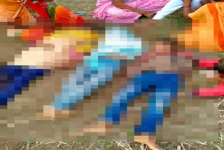 Three children drown in Pazhar lake in Jalna