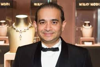 Nirav Modi