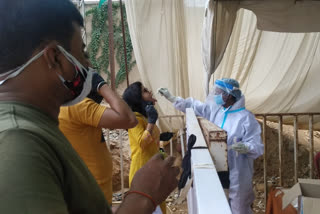 rapid antigen testing in jharkhand
