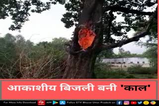 national bird peacock  national bird peacock died  tree caught fire  tree caught fire due to lightning  fire tree lightning  fire broke out in a tree  tree caught fire video  fire broke out tree video  जलने लगा हरा पेड़  आकाशीय बिजली  बिजली गिरने से पेड़ में लगी आग  बीघापुर थाना क्षेत्र  मगरायर गांव  महुआ के पेड़ में आग लग गई  राष्ट्रीय पक्षी मोर की मौत  आकाशीय बिजली गिरने से मोर की मौत  राष्ट्रीय पक्षी मोर