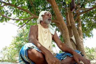 tree lover Bhaiya Ram Patel of Penderwani village of Dhamtari district