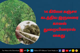 கஞ்சா கடத்தல்  திருவள்ளூர் செய்திகள்  குற்றச் செய்திகள்  திருவள்ளூர் கஞ்சா கடத்தல்  thiruvallur news  thiruvallur latest news