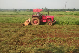 farmers drived tractor on watermelon crop in ramgarh