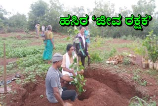 ಅಶ್ವತ್ಥ ಗಿಡಗಳ ನೆಟ್ಟು ಪೋಷಿಸಿದ ಉಪನ್ಯಾಸಕ