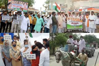 Haryana Congress protests petrol diesel