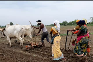 शेतकऱ्यांनी पेरणीची घाई करू नये, कृषी विभागाचे आवाहन