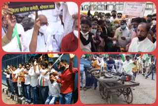 petrol-diesel-price-hike-congress-protest