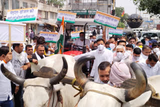 Congress protest kaithal