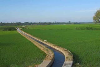 Irrigation Department