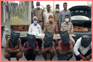 CANNABIS SEIZED : పలు జిల్లాల్లో భారీగా గంజాయి పట్టివేత.. నిందితుల అరెస్ట్