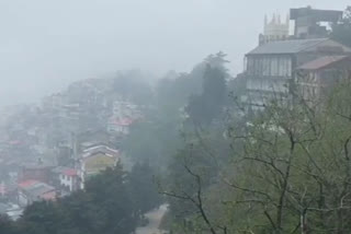 Shimla