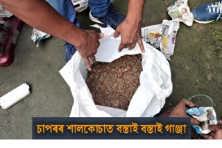 hemp-and-wine-seized-at-sapoor_etvbharat_news