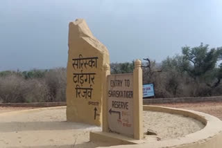 वन्यजीव अभ्यारण , Water Management in Sariska , wildlife sanctuary