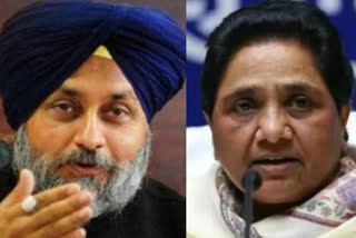 Akali Dal-BSP Alliance: ਅਕਾਲੀ ਦੇ ਬਸਪਾ ਦੇ ਗੱਠਜੋੜ ਦਾ ਹੋਵੇਗਾ ਰਸਮੀ ਐਲਾਨ