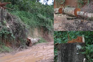 road construction  Alleged illegal logging  അനധികൃത മരം മുറിക്കൽ  റോഡ് നിര്‍മാണം  ഗ്രീന്‍ കെയര്‍ കേരള  കെ. ബുള്‍ബേന്ദ്രന്‍  green care kerala