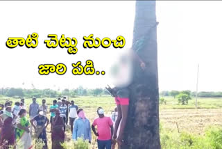 tuddy tupper fell from a palm tree and died in jayashanker bhupalpally district