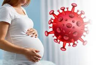 Pregnant women Covid  covid 19  corona virus  ramanathapuram news  ramanathapuram latest news  corona second wave  pregnant women were affected by corona virus