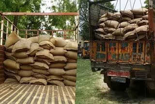 palwal police caught 770 sacks on grain