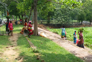 Hazaribag lake cleaning work