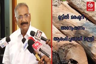 Special teams have started an investigation in the Wayanad Muttil Maramuri case Shasindran  Special teams started investigation  Wayanad Muttil Maramuri case  A.K.Shasindran  മുട്ടില്‍ മരംമുറി കേസ്; അന്വേഷണം തുടങ്ങിയതായി മന്ത്രി  മുട്ടില്‍ മരംമുറി കേസ്  അന്വേഷണം തുടങ്ങിയതായി മന്ത്രി  എ.കെ. ശശീന്ദ്രന്‍