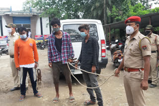 drugs paddler arrested in Tezpur