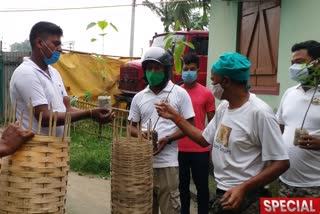 delivering saplings door to door for free