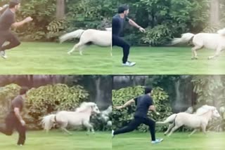 MS Dhoni takes part in a race against his horse