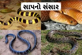 snake photos