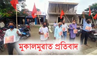 two organistion protest in mukalmua on paper mill auction