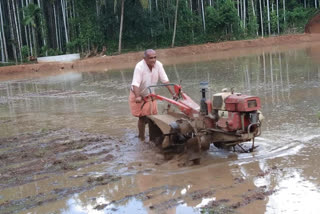 Supreme court solicitor general KM Nataraj working as farmer in his land