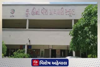 Government School Repaired: તમામ સરકારી સ્કૂલનું સમારકામ કરવામાં આવ્યું, નવા સત્રમાં વિદ્યાર્થીઓને મુશ્કેલી નહીં પડે